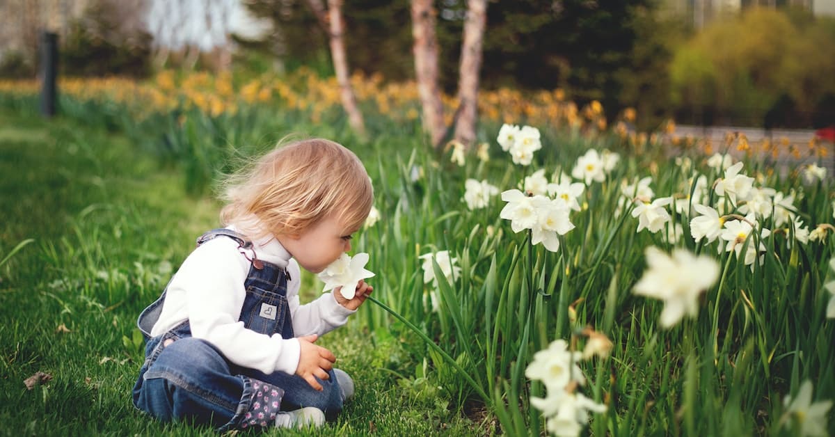 little kid smelling flowers after custody order in texas divorce