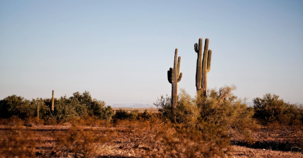 cacti in texas where you can get spousal support after ten years of marriage