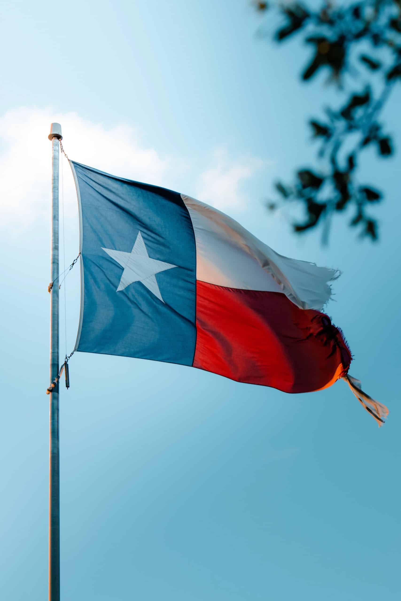 texas flag in no fault divorce state