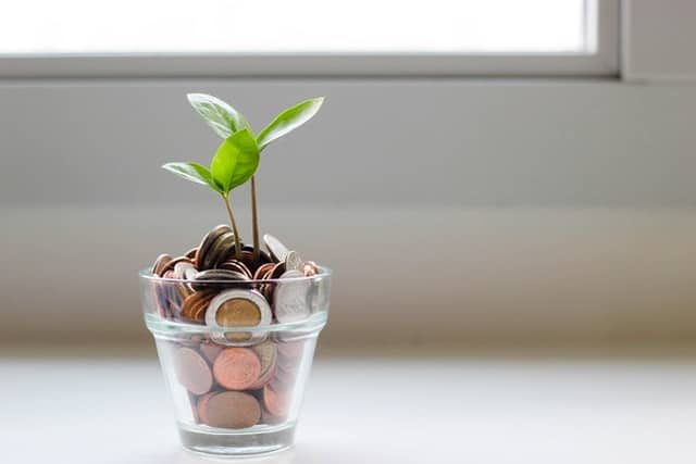 jar of money with plant for spousal support texas